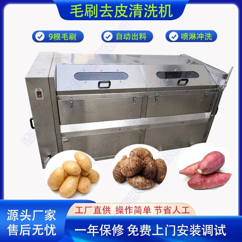 供应莲藕去皮清洗机红薯自动磨皮削皮机芋头土豆毛辊去皮机