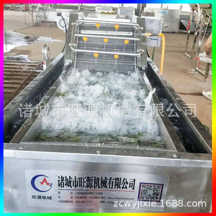 带鱼段高压气泡喷淋清洗机鲅鱼清洗机沥水风干机样板图变频