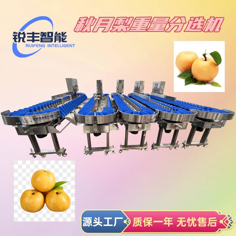 水果重量分选机桃子苹果秋月梨选果机农副产品重量分拣机