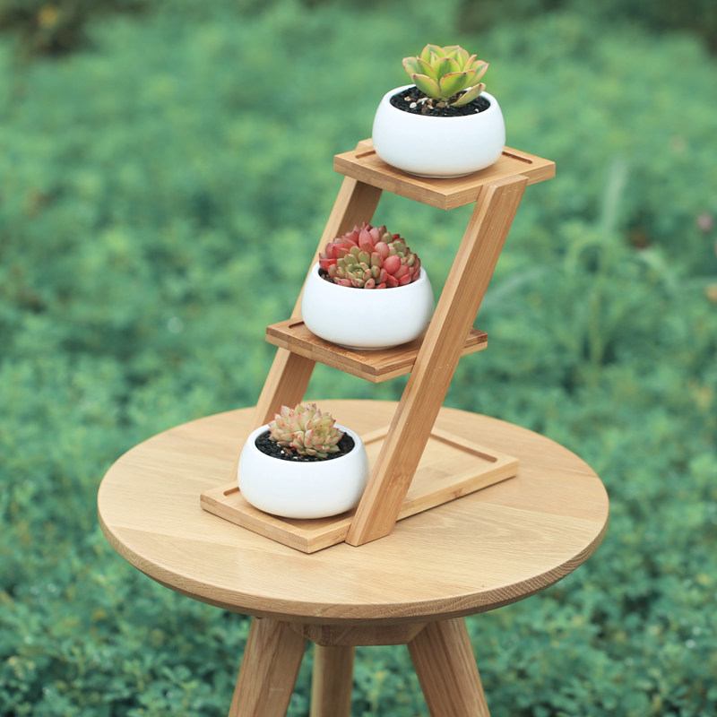 壹分皿多肉植物花盆白色陶瓷花盆白瓷花盆肉肉植物桌面花盆带竹架