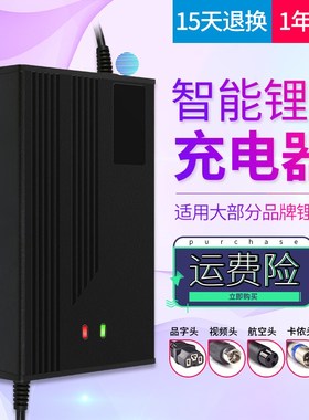 三元聚合物锂电池48V13串充电器54.6V2A3A 54.6V4A5A电动车充电器