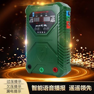 防野猪防大象电子围栏主机牧场养殖牛电围栏畜牧智能电网围栏