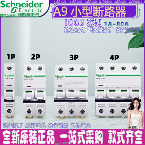 施耐德电气漏电保护断路器IC65