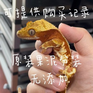 盘古果泥睫角守宫果泥饲料盖勾亚魔物巨人R属口粮爬宠果泥无花果