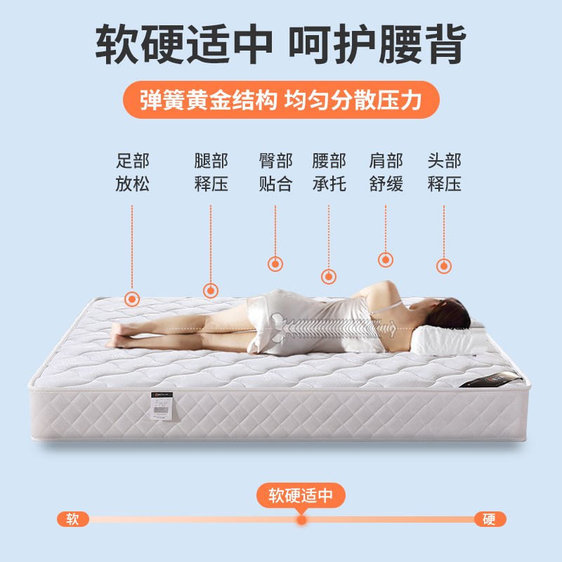 床垫家用卧室席梦思独立弹簧10cm厚20酒店专用护腰护脊家庭用椰棕