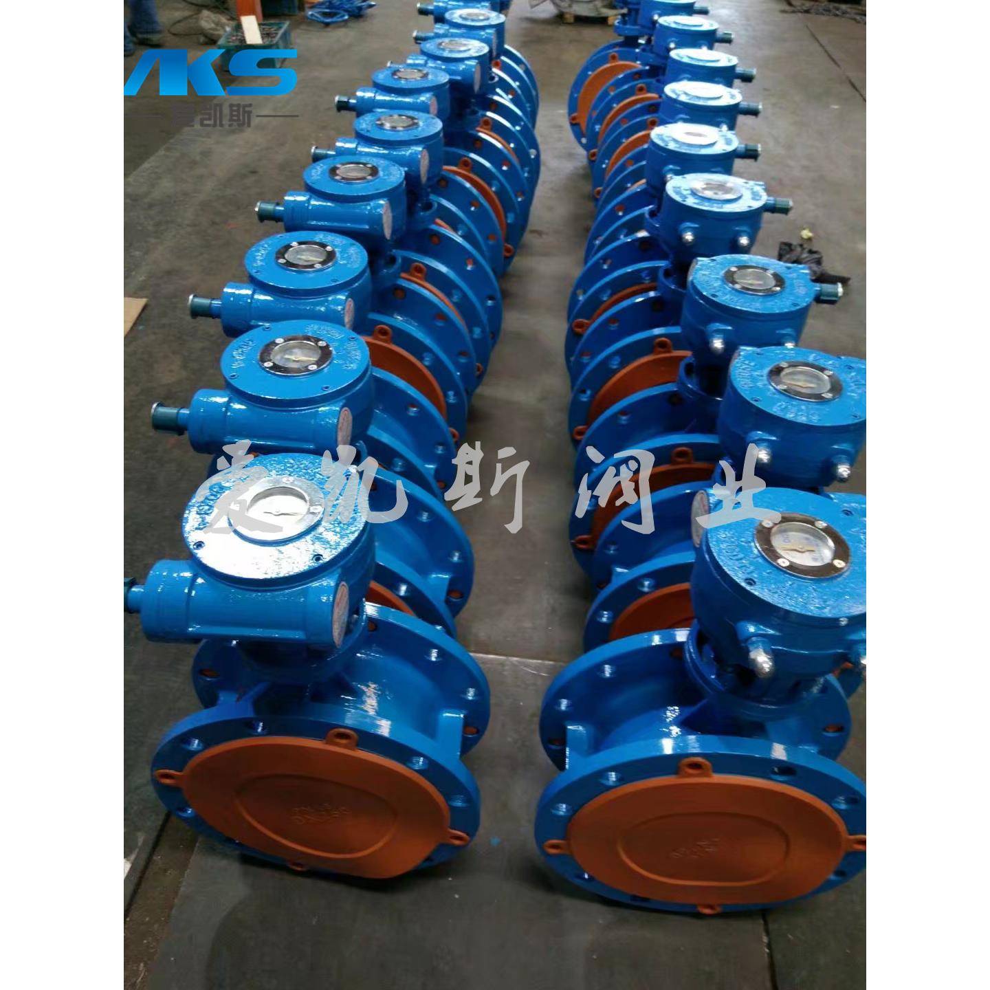 温州不锈钢蝶阀D343W硬密封涡轮法兰蝶阀