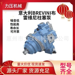 160 意大利BREVINI布雷维尼H1C055 108 090 226定量柱塞泵 075