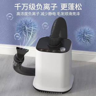 宠物吹水机猫咪洗澡烘干箱狗狗大功M率吹风机大型犬吹毛