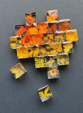 小红书同款手工滴胶植物方块成品立体标本永生花摆件送朋友礼物