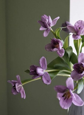 冬日一帘幽梦紫色郁金香鲜花家居办公餐桌茶几装饰插花商务送花