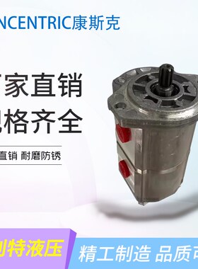 CONCENTRIC康斯克WP09A1B050/060/080/110/140/160R03BA150齿轮泵