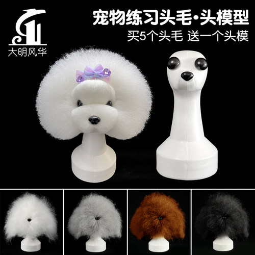 宠物仿真狗练习头毛模特泰迪犬