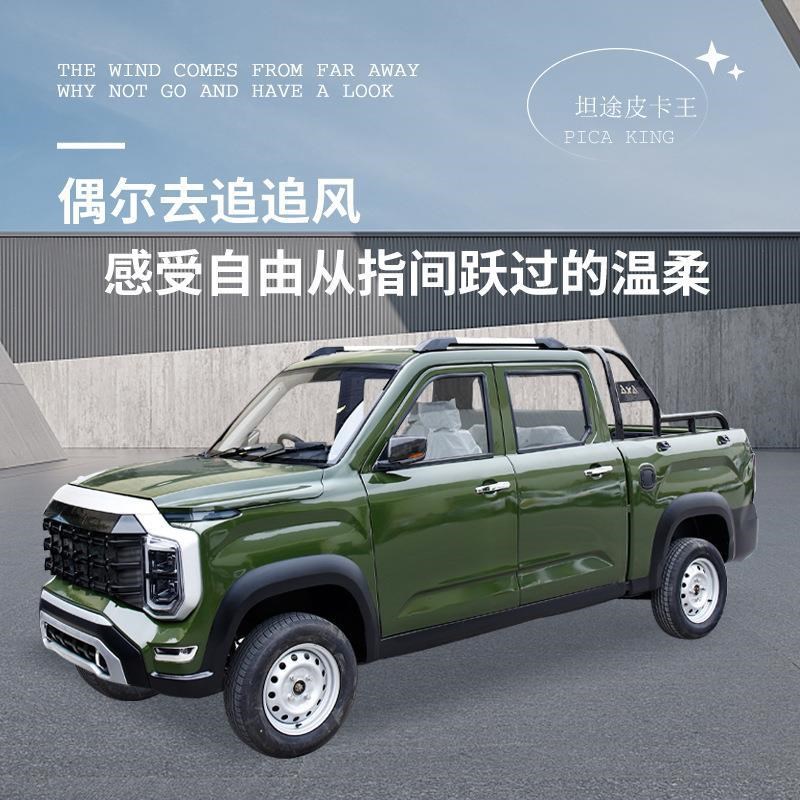 电动皮卡四轮车新能源双排家用代步油电两用新款拉货4轮车