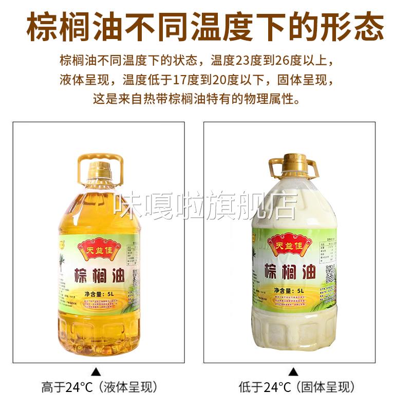 天益佳棕榈油炸专用食用油 不含反式脂肪酸的天然起酥油 刷盘底油