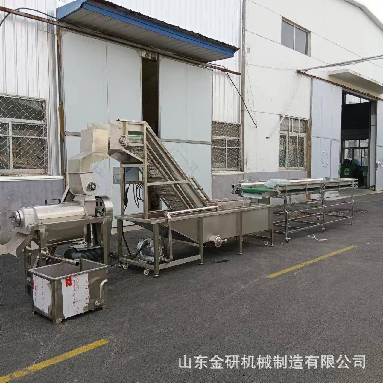 大型菠萝苹果榨汁机商用破碎榨汁一体机油柑果去核榨汁机