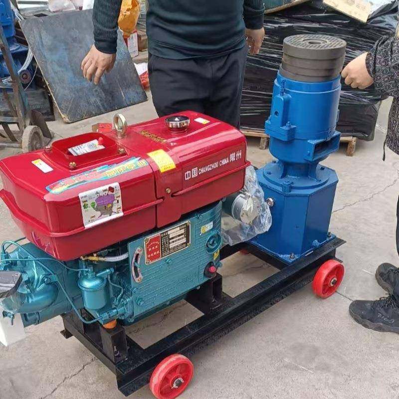 鸡鸭猪饲料颗粒机干湿两用家用颗粒饲料机汽油机柴油机驱动款,畜牧/养殖物资,特种养殖设备,淘宝优惠券,粉丝福利购,淘宝优惠卷