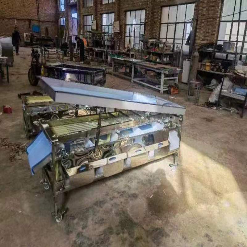 芭乐分拣机果蔬分选机魔芋种子分级机轨道式重庆丑柑分选机