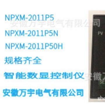 NPSM-2011P5M智能数显仪控制仪数显表