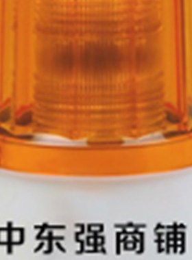 工业用LTEJ声光警报灯LED频闪灯 警报灯警示灯   2