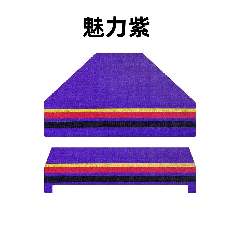 大阳巧克G2S2四轮车脚垫雪妮丝防水防滑耐磨脚踏垫特斯林丝圈脚垫