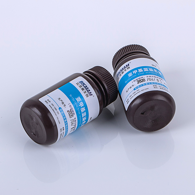 亚甲基蓝染色液 美蓝染色液 100ml/瓶 酵母菌染色 比克曼科研试剂