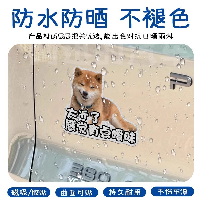两狗对视汽车反光贴宠物搞笑车贴定制磁吸汽车车尾实习贴新手上路
