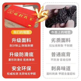 入户门垫进门地垫大门口丝圈蹭脚垫出入平安家用除尘地毯进户门垫