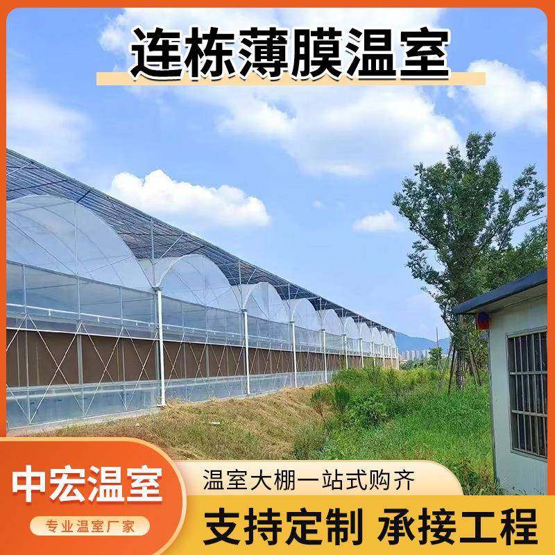花卉育苗连栋薄膜温室大棚农用养殖连体棚蔬菜大棚钢管外遮阳,农机/农具/农膜,智能温室设备,淘宝优惠券,粉丝福利购,淘宝优惠卷