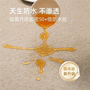 2024新款 客厅地毯法式 免打理卧室地垫厚家用房间茶几床边毯大面积