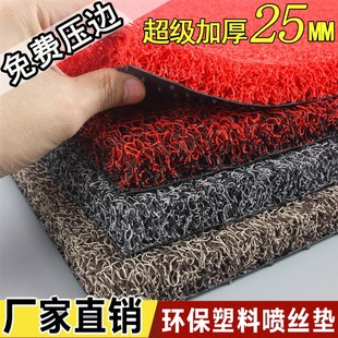 进门垫门口地垫巨厚25MM家用防滑脚大厅入户门塑料丝圈蹭土地毯