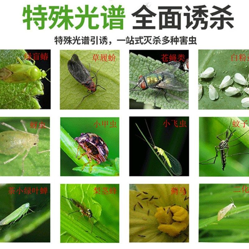 粘虫诱虫板面特粘农用粘虫板果园茶园卉黄板蓝板针蜂蓟马果蝇,农机/农具/农膜,农用灭虫板/诱虫板,淘宝优惠券,粉丝福利购,淘宝优惠卷