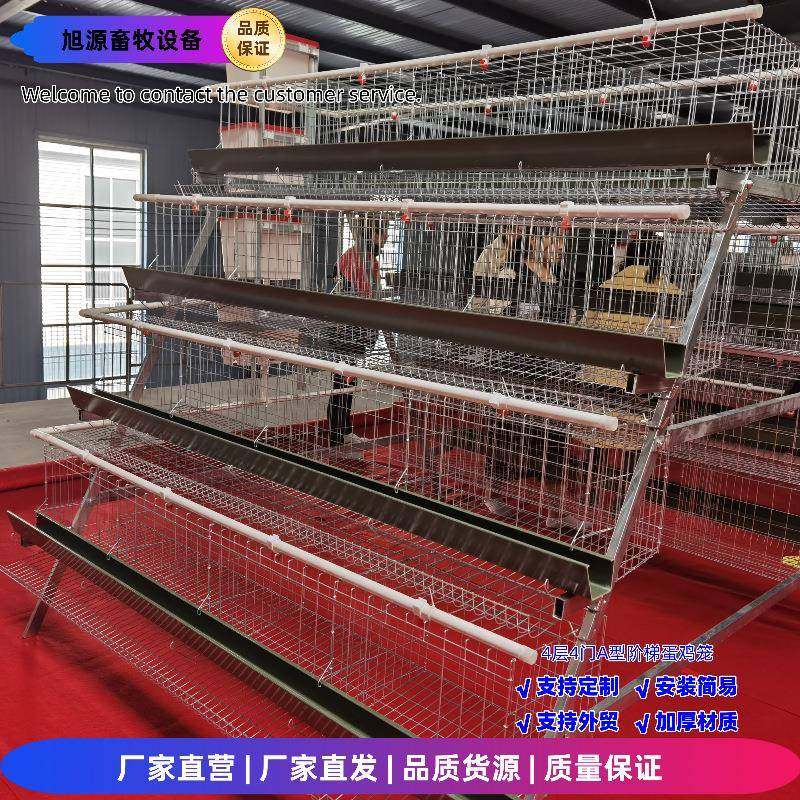 养殖家用阶梯蛋鸡笼四层四门A型笼冷镀/热镀锌工艺养鸡笼,畜牧/养殖物资,特种养殖设备,淘宝优惠券,粉丝福利购,淘宝优惠卷