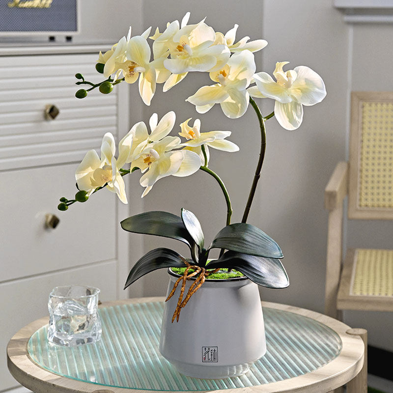 新款蝴蝶兰仿真高品质假干摆设高级仿生餐桌摆,家居饰品,仿真花/假花,淘宝优惠券,粉丝福利购,淘宝优惠卷