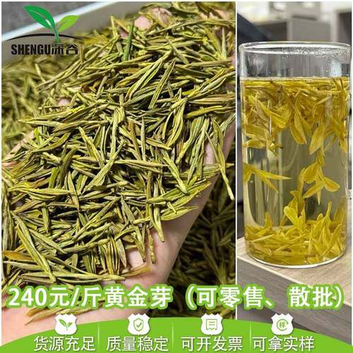送礼2025年浙江新茶高豆香一芽一叶安吉工艺黄金芽白茶叶散装