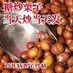 正宗糖炒板栗迁西熟栗子即食带壳新鲜栗子现炒香甜糯散装 坚果零食