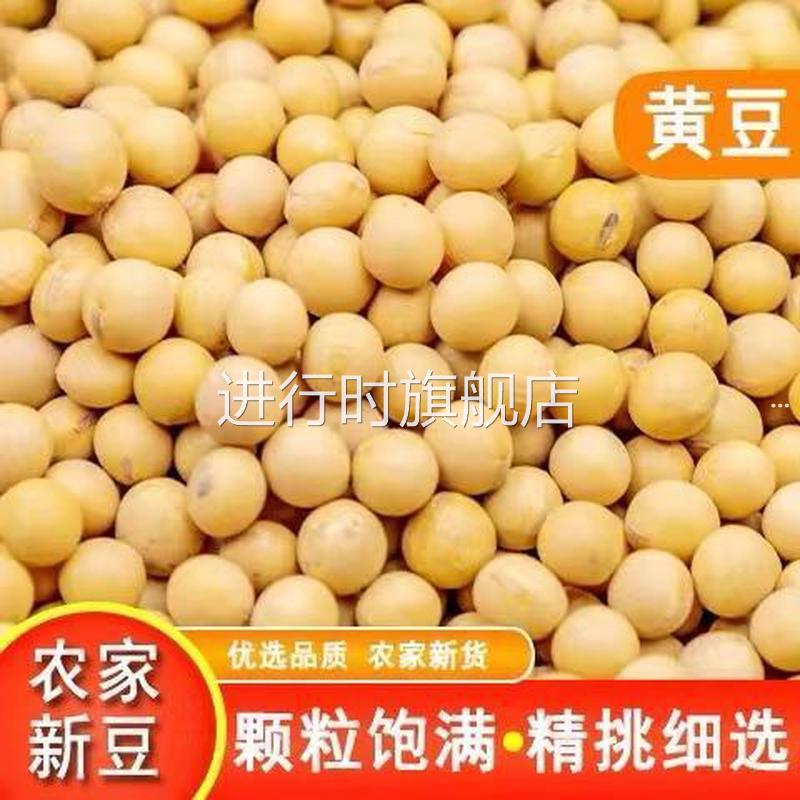新货东北笨黄豆新鲜大豆非转基因大豆子可打豆浆发黄豆芽原材料营