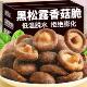 香菇脆零食黑松露香菇脆冻干非油炸冻干香菇果蔬脆开袋即食旗舰店