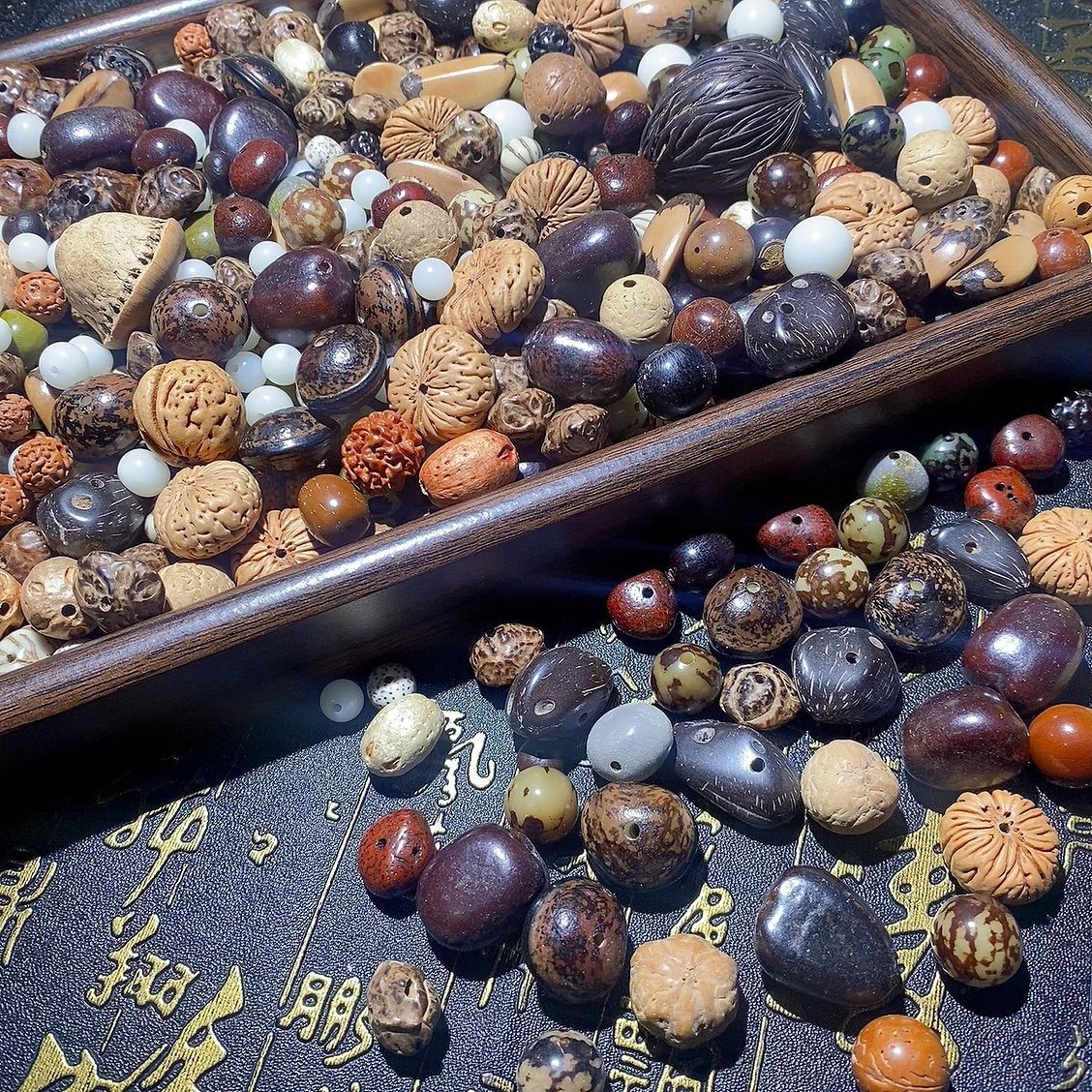 多种菩提子麒麟眼无患子凤眼龙眼菩提