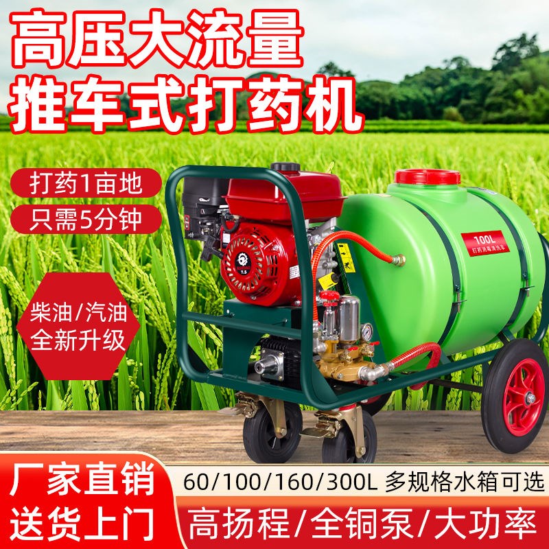 燃油打药机大型柴油大功率水箱喷雾器农用果园造雾款园林高射程泵