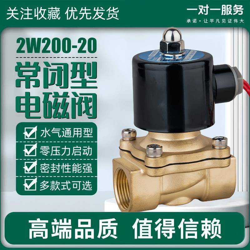 常闭铜电磁阀水阀气阀2W200-20 220V24V开关阀控制阀放水阀进水阀