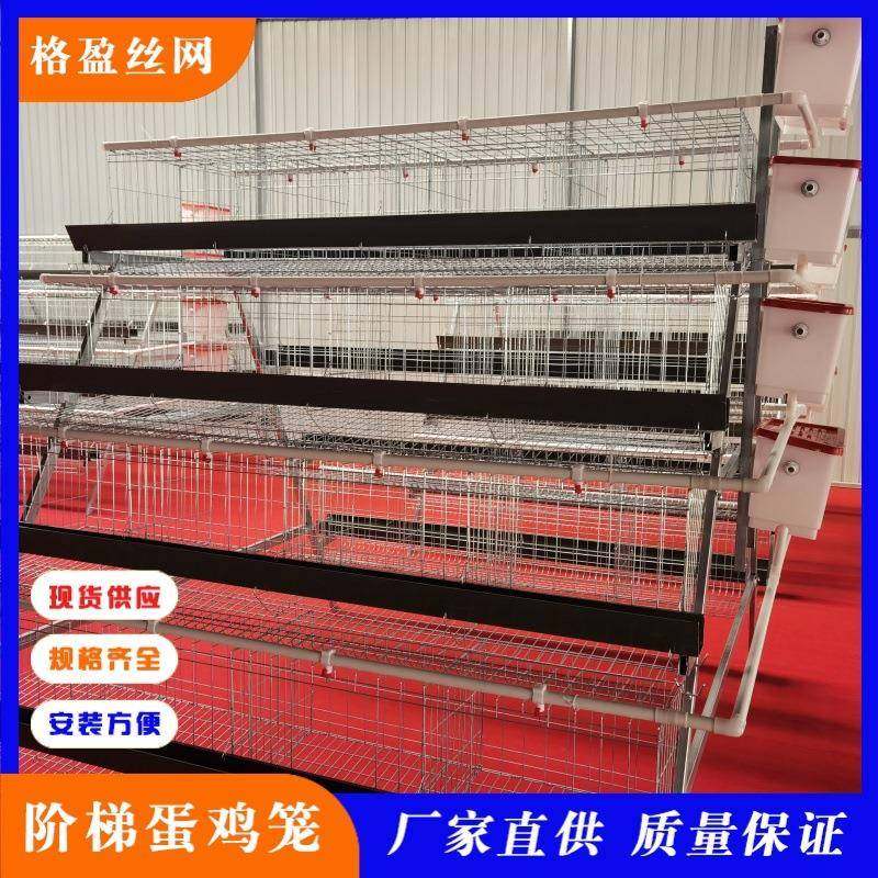四层阶梯鸡笼安平鸡笼厂家镀锌鸡笼价,畜牧/养殖物资,特种养殖设备,淘宝优惠券,粉丝福利购,淘宝优惠卷