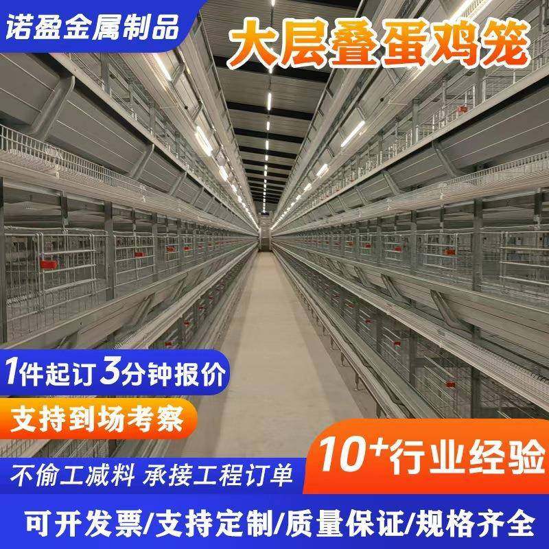 全自动大层叠蛋鸡笼养鸡场蛋鸡养殖设备自动化养殖笼具镀锌蛋鸡笼,畜牧/养殖物资,特种养殖设备,淘宝优惠券,粉丝福利购,淘宝优惠卷