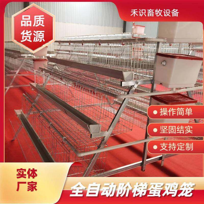 A型阶梯蛋鸡笼源头厂家三层四门阶梯蛋鸡笼热镀锌鸡舍家用养殖场,畜牧/养殖物资,特种养殖设备,淘宝优惠券,粉丝福利购,淘宝优惠卷