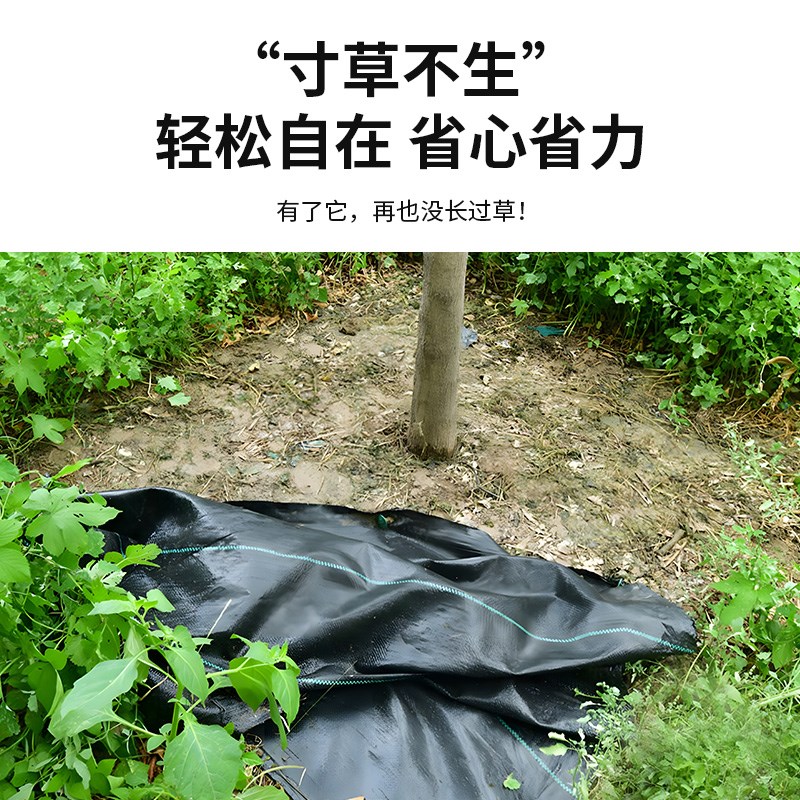 防草布除草布果园果树抑草盖草布农用高透水高透气地布