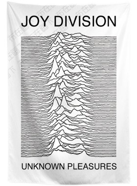 Jo Diiion快乐分裂摇滚乐队唱片挂布脉冲酒吧琴行装饰背景布