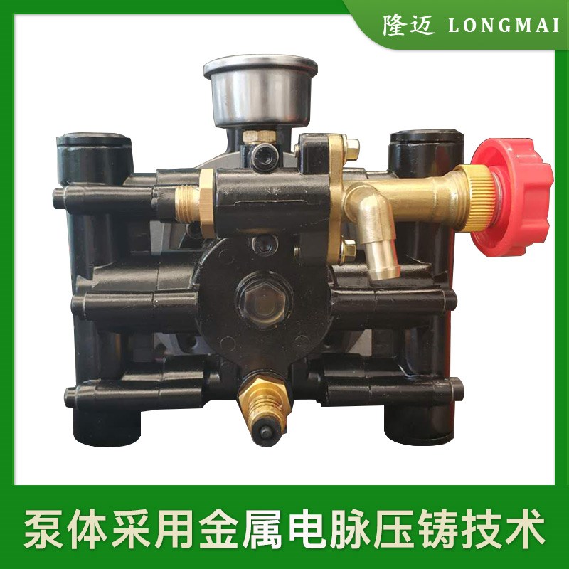 手提高压农用大功率电动喷雾器园林果树打药柱塞泵