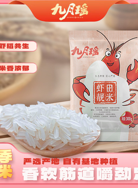 九月瑶虾田靓米300g尝鲜装小包独立包装新鲜长粒粘米猫牙米丝苗米