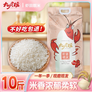 九月瑶虾田靓米5kg当季大米真空装猫牙米软香丝苗米10斤