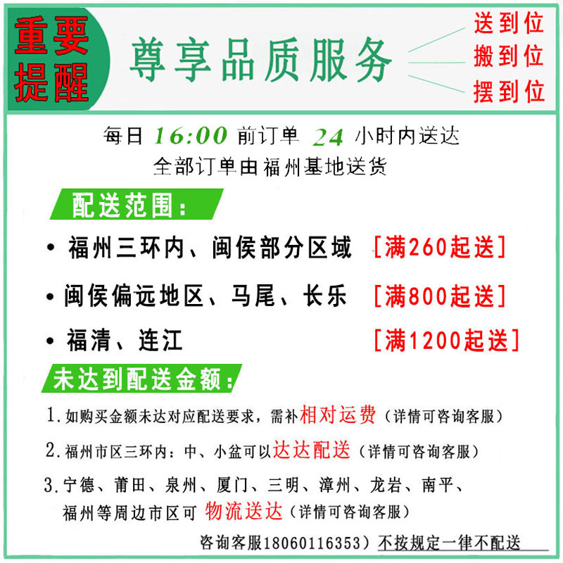 大叶绿萝盆栽室内办公室大盆绿植物办公室绿箩花净化空气福州同城