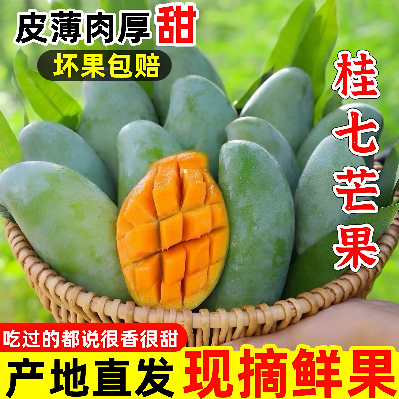 广西百色当季现摘桂七芒果9斤装